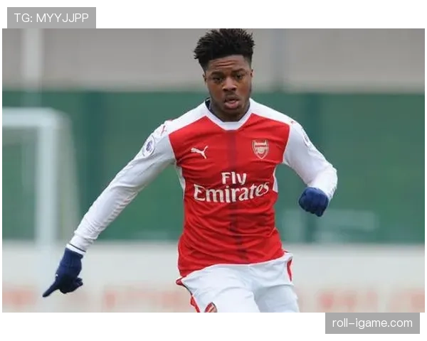 德甲转会盘点：新秀加盟引发阵容革新，各队前景广受关注